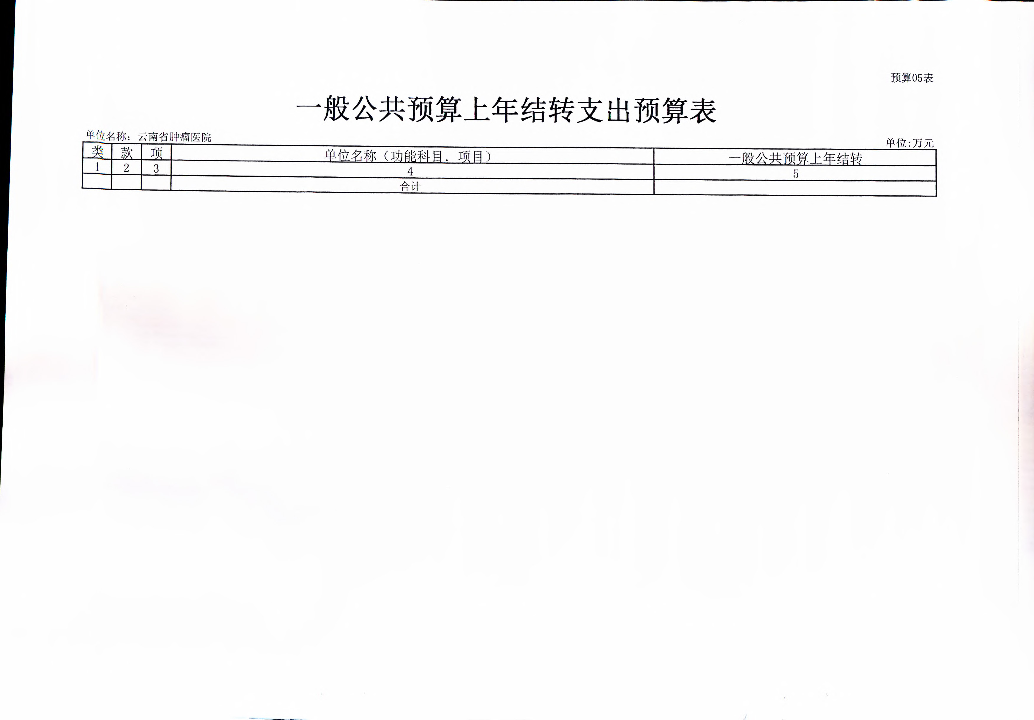 《云南省卫生健康委关于云南省肿瘤医院2019年部门预算的批复》（云卫规财发【2019】1-10号_页面_16